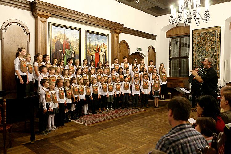 Nesem vám noviny - předvánoční koncert Brumlíků a hostů ze ZUŠ Český Krumlov, 20.12.2012