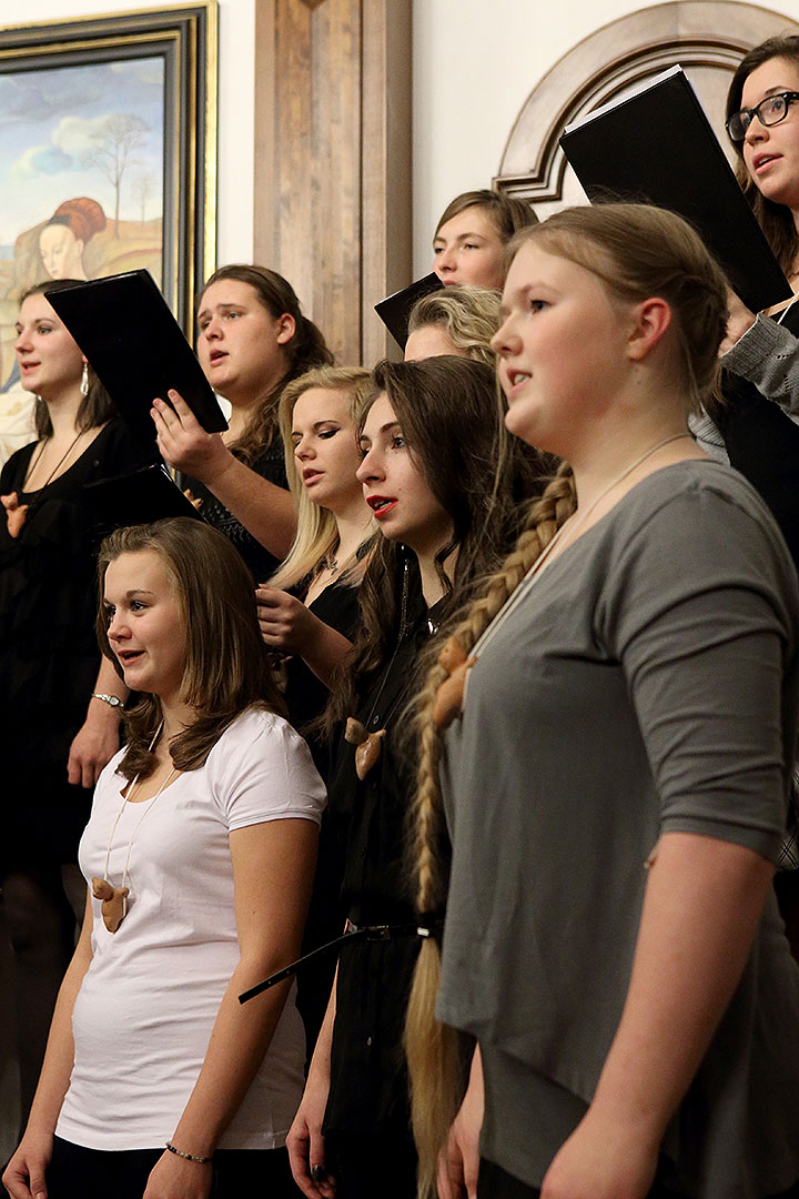 Die Zeit der Freude und Fröhlichkeit - Konzert des Ensembles Medvíďata, Kunstschule ZUŠ Český Krumlov, 22.12.2013