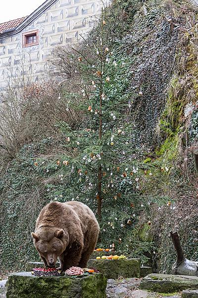 Bärenweihnachten, 24.12.2016, Advent und Weihnachten in Český Krumlov